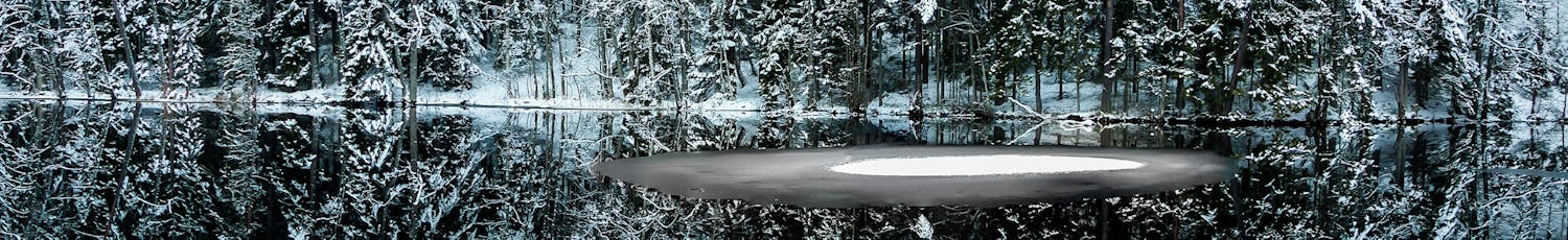 puita vesi peilaus lumi